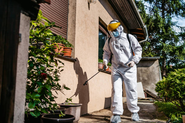 Best Mosquito Control Services  in Jarrettsville, MD