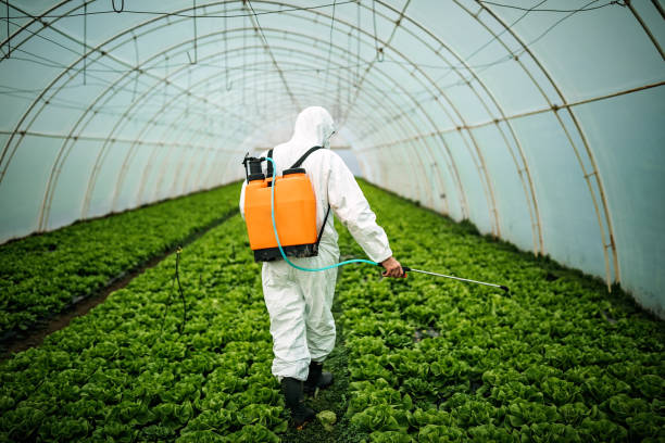 Best Pest Inspection Near Me  in Jarrettsville, MD