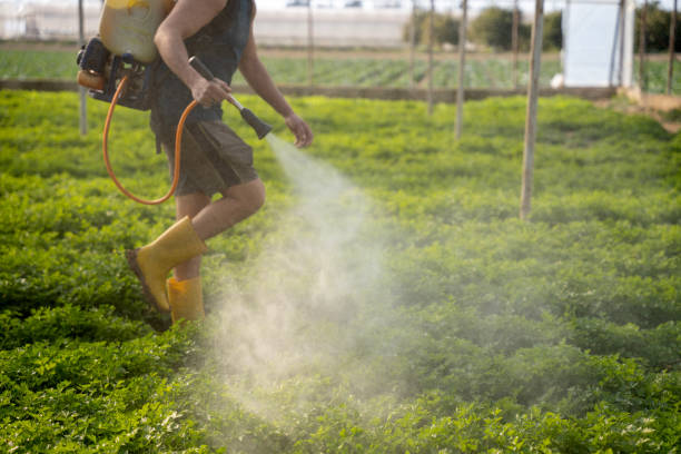 Best Pest Prevention Services  in Jarrettsville, MD