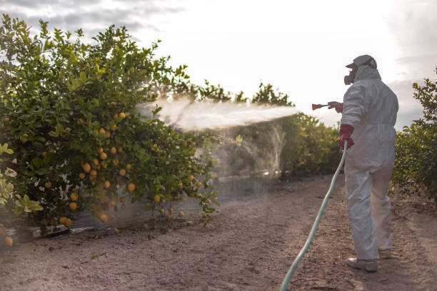 Best Mosquito Control Services  in Jarrettsville, MD