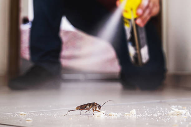 Best Pest Removal Services  in Jarrettsville, MD