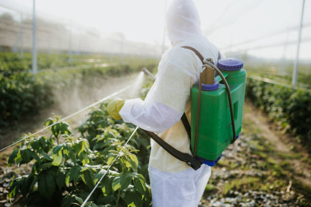 Best Bed Bug Extermination  in Jarrettsville, MD